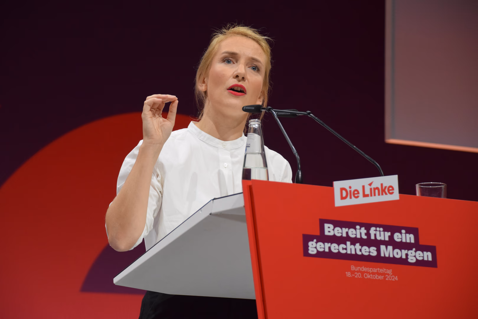 Die Linke: Was hinter dem Diätenstreit in der Fraktion steckt