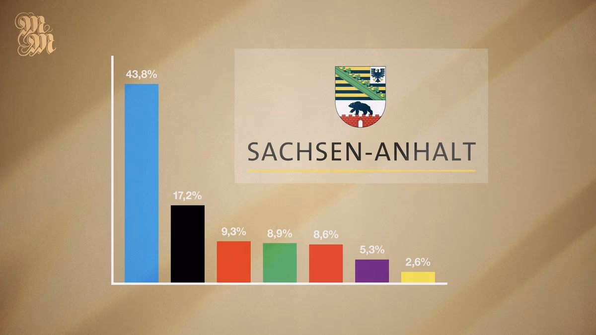 Eine rechtsextreme Partei greift nach der Macht 