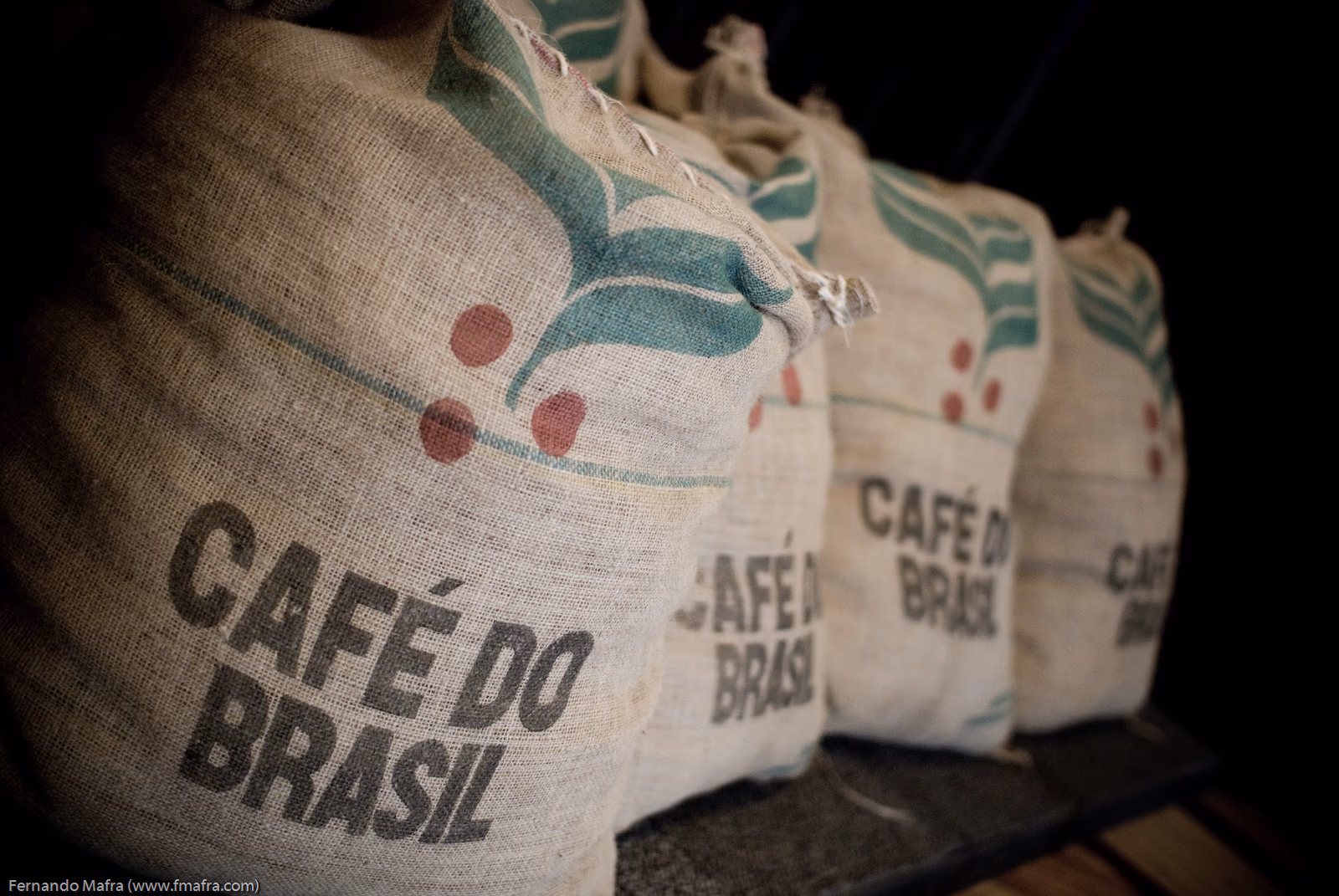 Mercosur-Abkommen tritt in Kraft: Neue Chancen, neue Unsicherheit