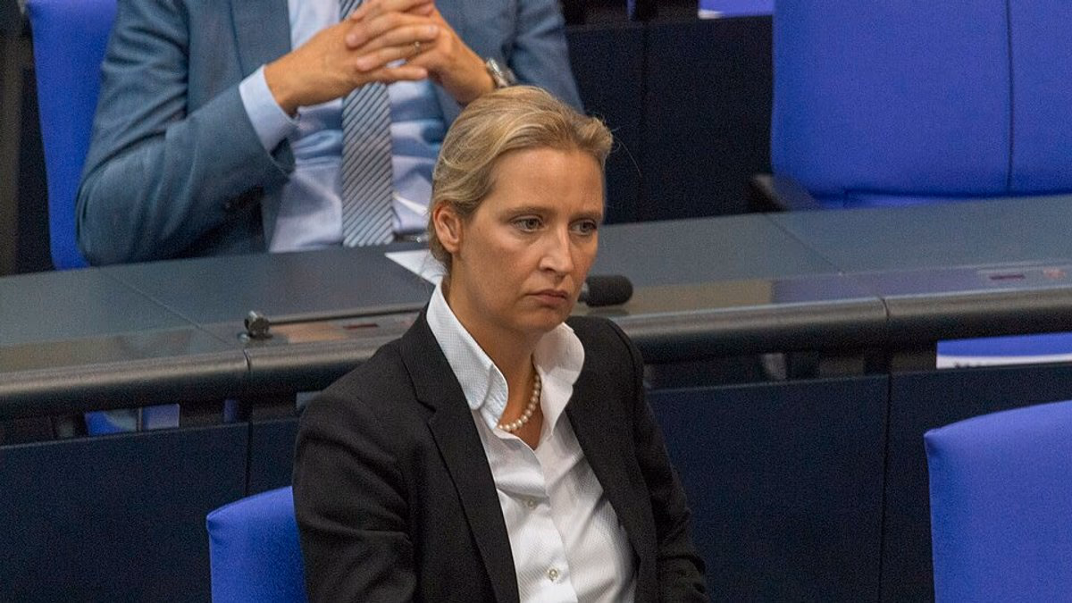Neue Informationen zu Weidels Spendenaffäre