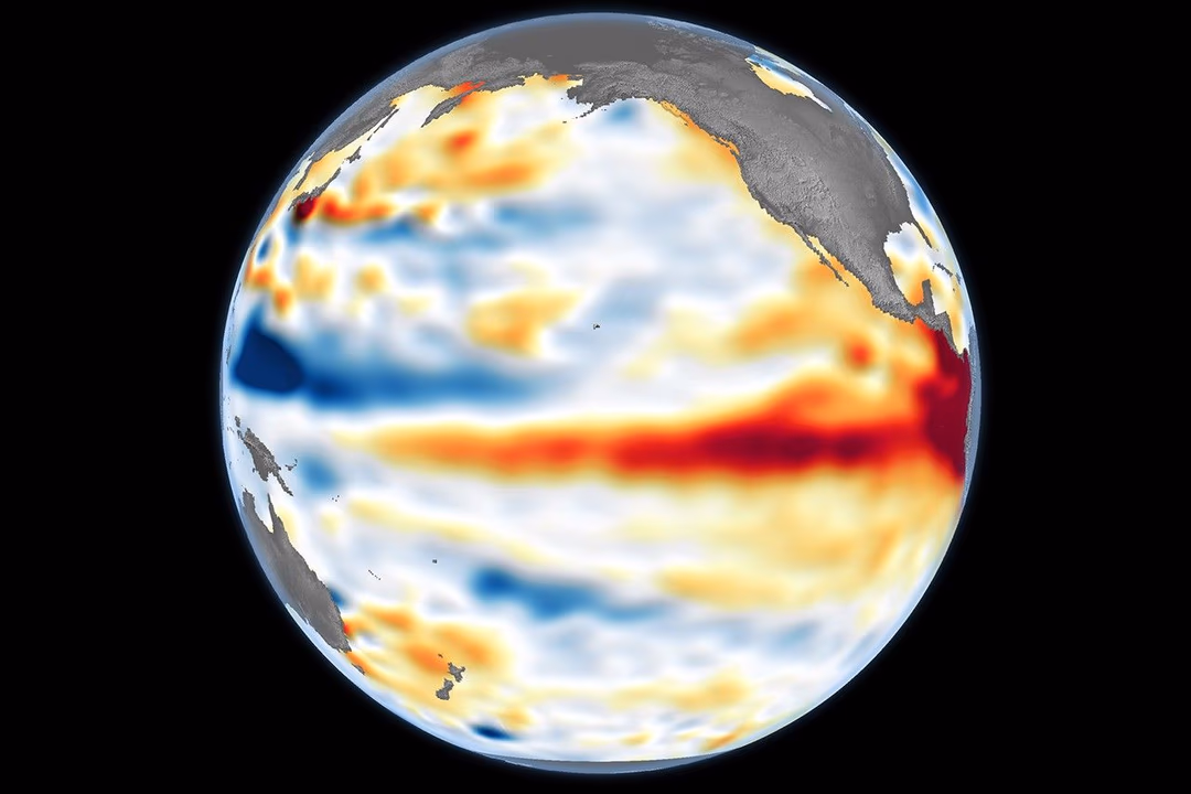 Rekord-El-Niño mit globalen Auswirkungen 